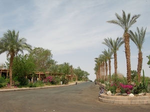 DSCN9773