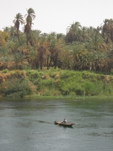 DSCN9806