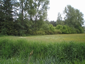 Laarbeek valley