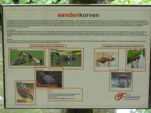 23-Infobord-eendenkorven