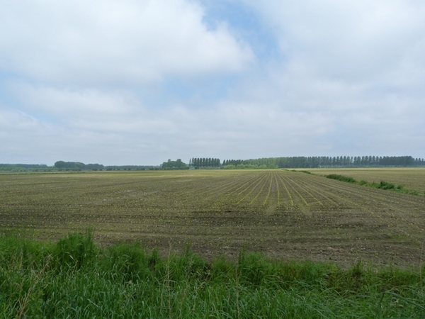 46-Langs dreven en natuur naar Moervaart Noord
