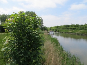 2013-06 01 Petegem-aan-de-Leie 006