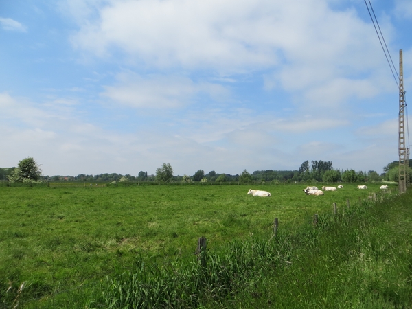 2013-06 01 Petegem-aan-de-Leie 009