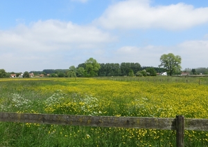 2013-06 01 Petegem-aan-de-Leie 011