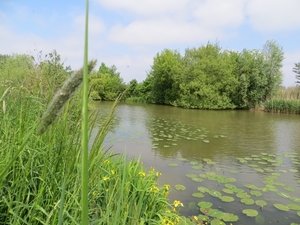 2013-06 01 Petegem-aan-de-Leie 015