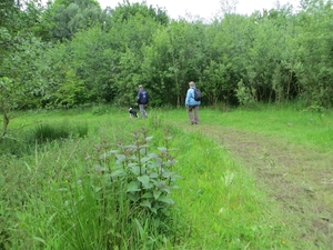 2013-06 01 Petegem-aan-de-Leie 028