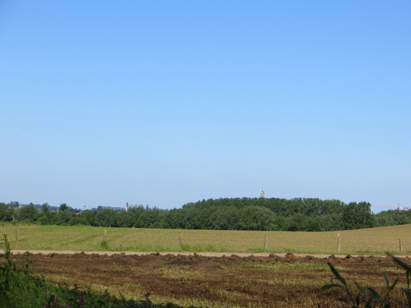 2013-06 02 Gooik 014