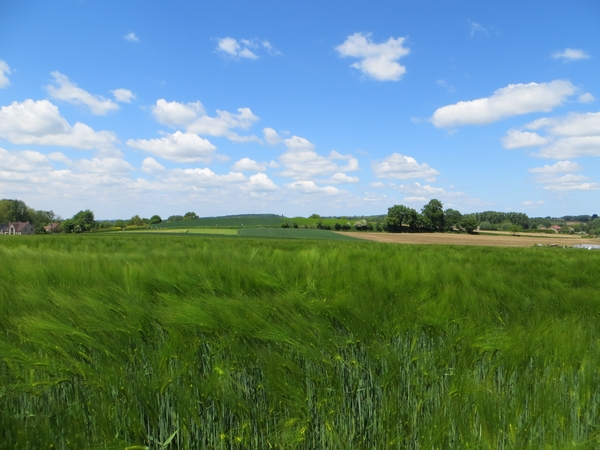 2013-06 02 Gooik 045