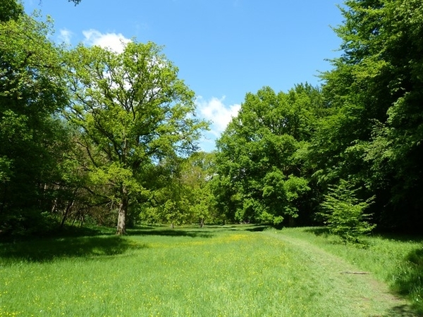 18-Doorheen Zoniënwoud Tervuren