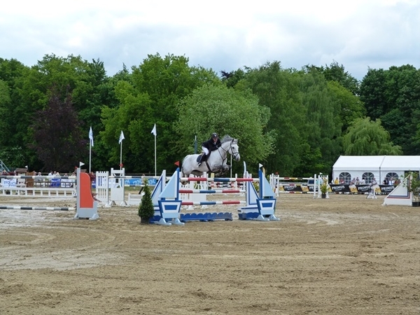 57-Met de beste Belgische paarden...