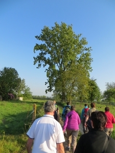 2013-06 04 Denderhouteml 005