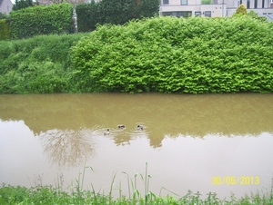 Wandeling naar Tivoli - 30 mei 2013