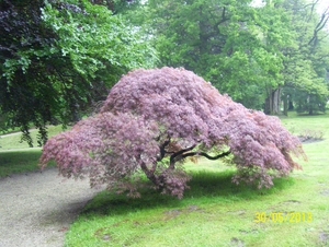 Wandeling naar Tivoli - 30 mei 2013