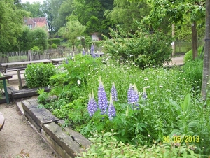 Wandeling naar Tivoli - 30 mei 2013