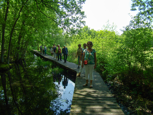 Wandeling naar Cassenbroeck - 6 juni 2013