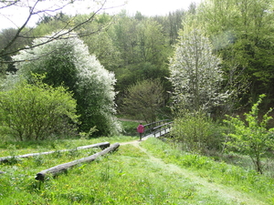 DSC04874