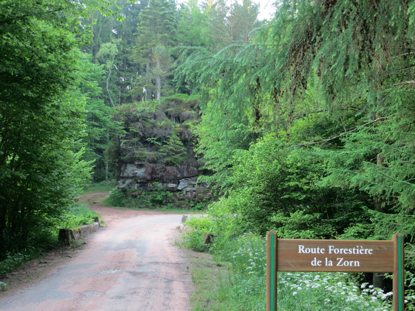 route de winsdbourg   windsbourg tot dabo