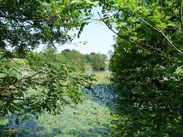 21-Natuurreservaat De Scheldevallei