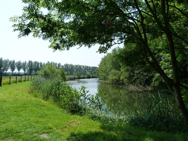 22-Oude Scheldearm in natuurreservaat-Heurne