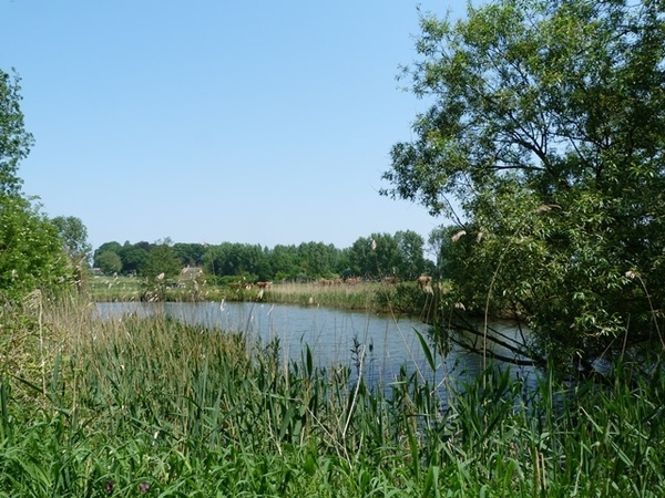 28-Oude Scheldearm in Scheldevallei