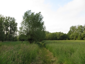 2013-06 09 Schendelbeke 006