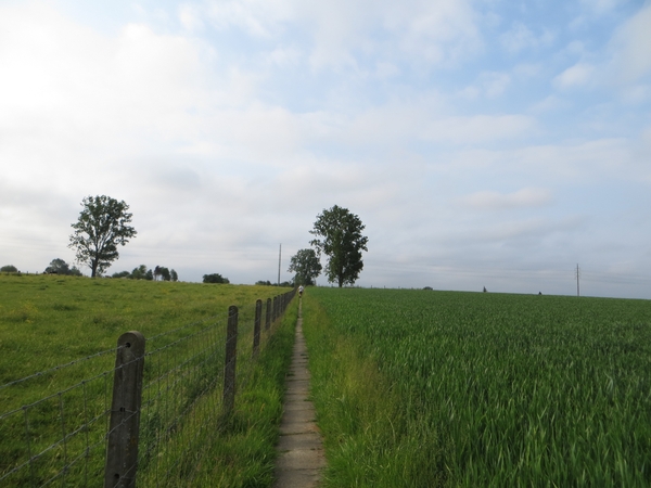 2013-06 09 Schendelbeke 008