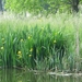 2013-06 09 Schendelbeke 019