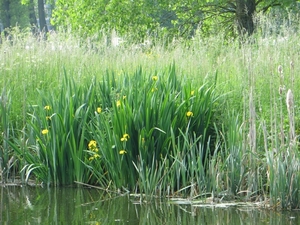 2013-06 09 Schendelbeke 019