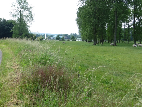 2013-06 09 Schendelbeke 022