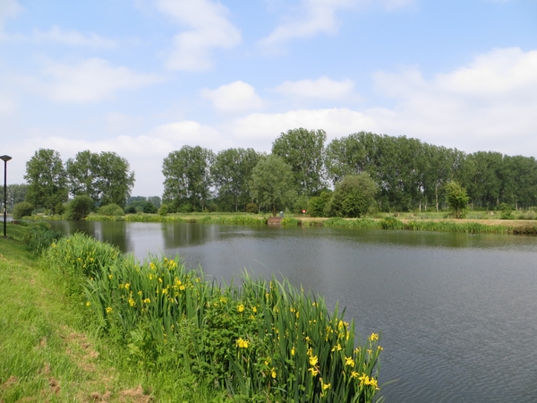 2013-06 09 Schendelbeke 026