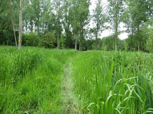 2013-06 09 Schendelbeke 034