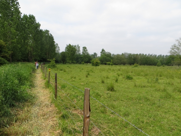 2013-06 09 Schendelbeke 036