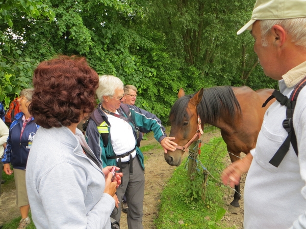 2013-06 10 Heldergem 012