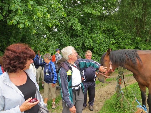 2013-06 10 Heldergem 013