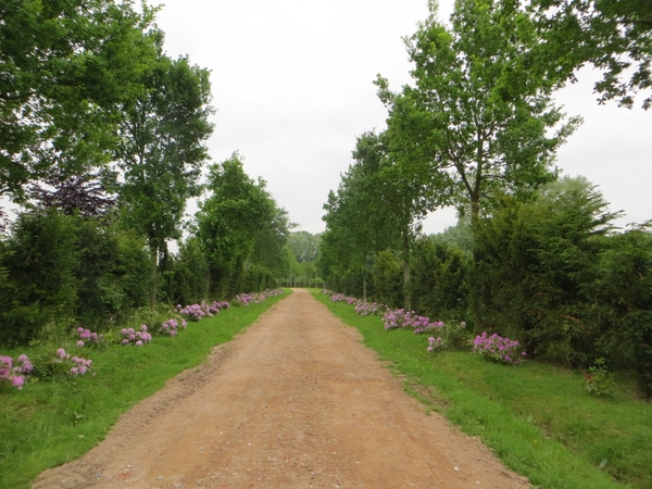 2013-06 10 Heldergem 016