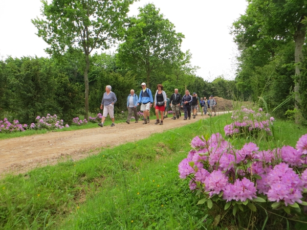 2013-06 10 Heldergem 017