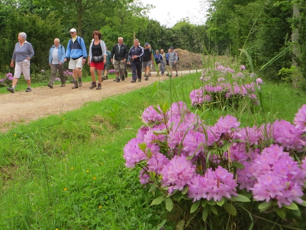 2013-06 10 Heldergem 017a