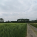 2013-06 10 Heldergem 025