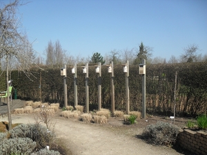 SDC14329