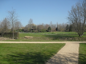 SDC14334