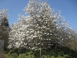 SDC14340