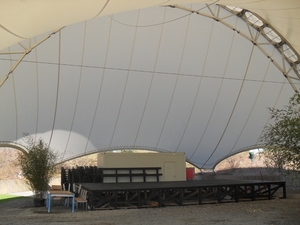 SDC14343