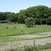 KDV 2-6-2013 033