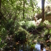 335 mili kloof