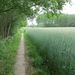 2013-06 12 Balegem 006
