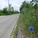 2013-06 12 Balegem 011