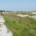 P1020890