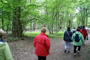 Wandeling naar de Midzeelhoeve - 13 juni 2013