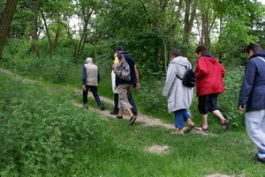 Wandeling naar de Midzeelhoeve - 13 juni 2013