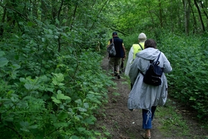 Wandeling naar de Midzeelhoeve - 13 juni 2013